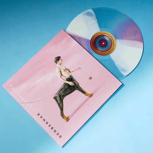 Vinyl Senbernar